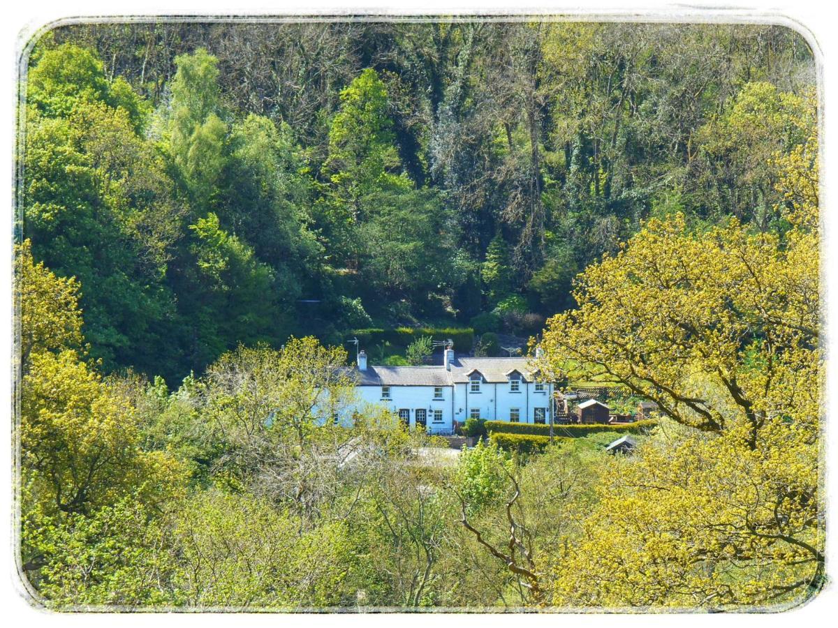 River Cottage St. Asaph Eksteriør billede