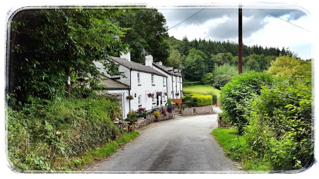 River Cottage St. Asaph Eksteriør billede