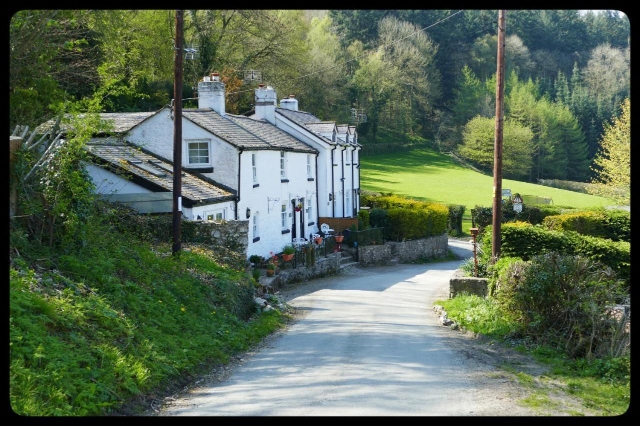 River Cottage St. Asaph Eksteriør billede